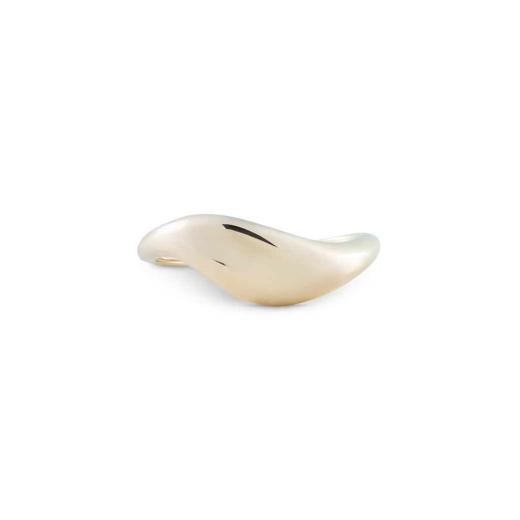 Saturn Ring